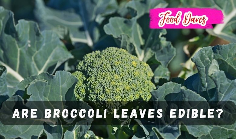 Are Broccoli Leaves Edible?